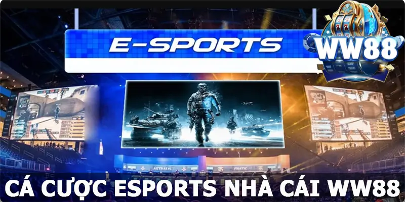 Cá Cược Esports WW88 - Bí Kíp Trở Thành Cao Thủ Đỉnh Cao